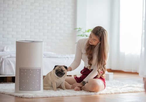 The Best 14x30x1 Air Filter for Cleaner Air: A Comprehensive Guide